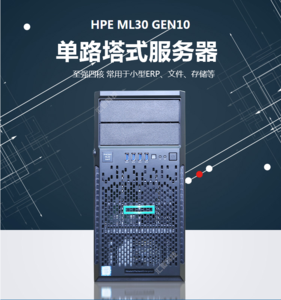 惠普（HP）HPE ML30GEN10塔式服務器主機