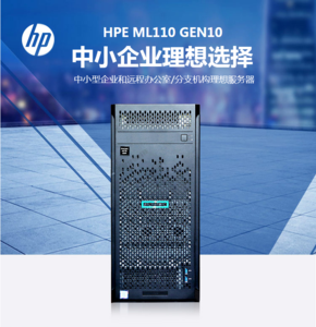 惠普（HP）HPE ML110Gen10单路塔式服务器